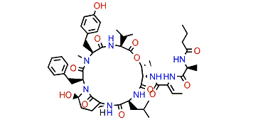 Loggerpeptin C